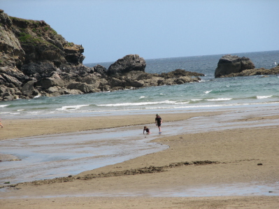 beaching it