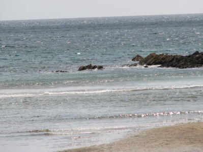 wave!