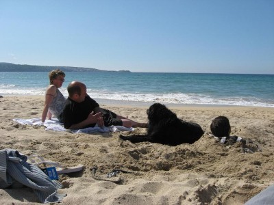 marcus, tracy, stan and katlin's head