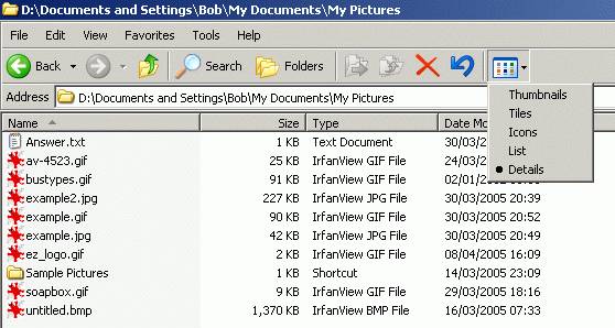 Irfanview-demo2.jpg