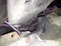 Thumbnail for version as of 21:08, 19 April 2012