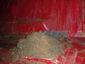 Thumbnail for version as of 18:35, 7 October 2008